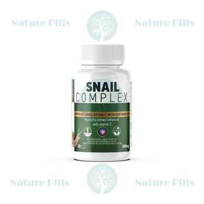 Snail Complex